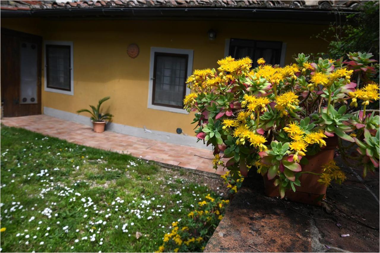 Appartamento I Cipressi Figline Valdarno Εξωτερικό φωτογραφία